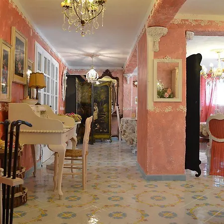 B And B Della Mimosa