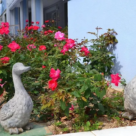 B And B Della Mimosa Hotel 3*